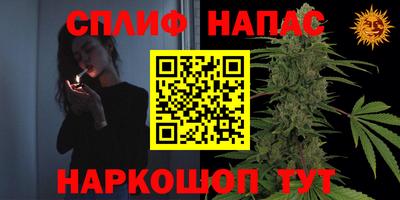 амф Анапа