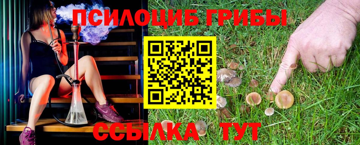 Псилоцибиновые грибы MAGIC MUSHROOMS  Вход с VPN  Пугачёв 